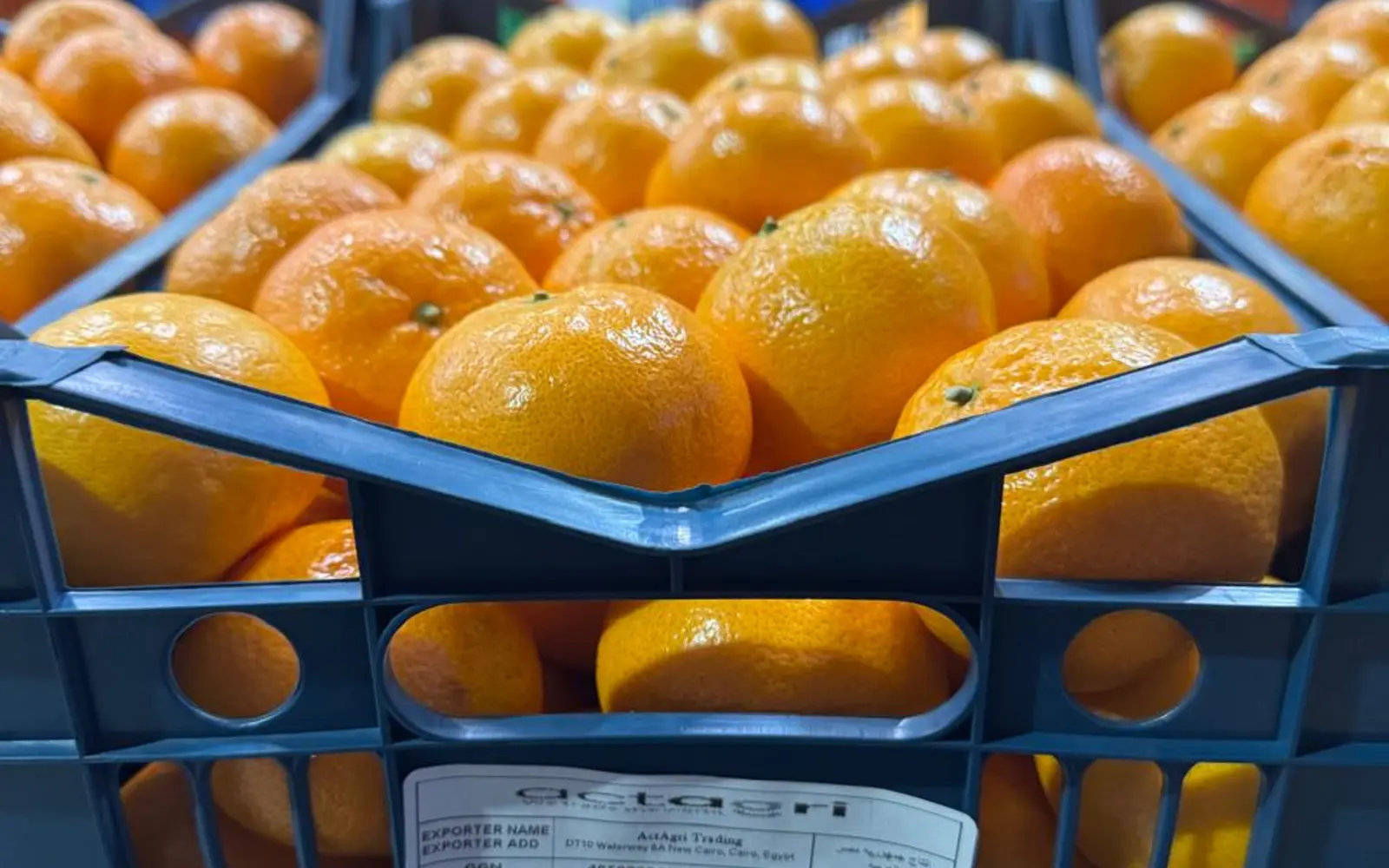 Orange packing