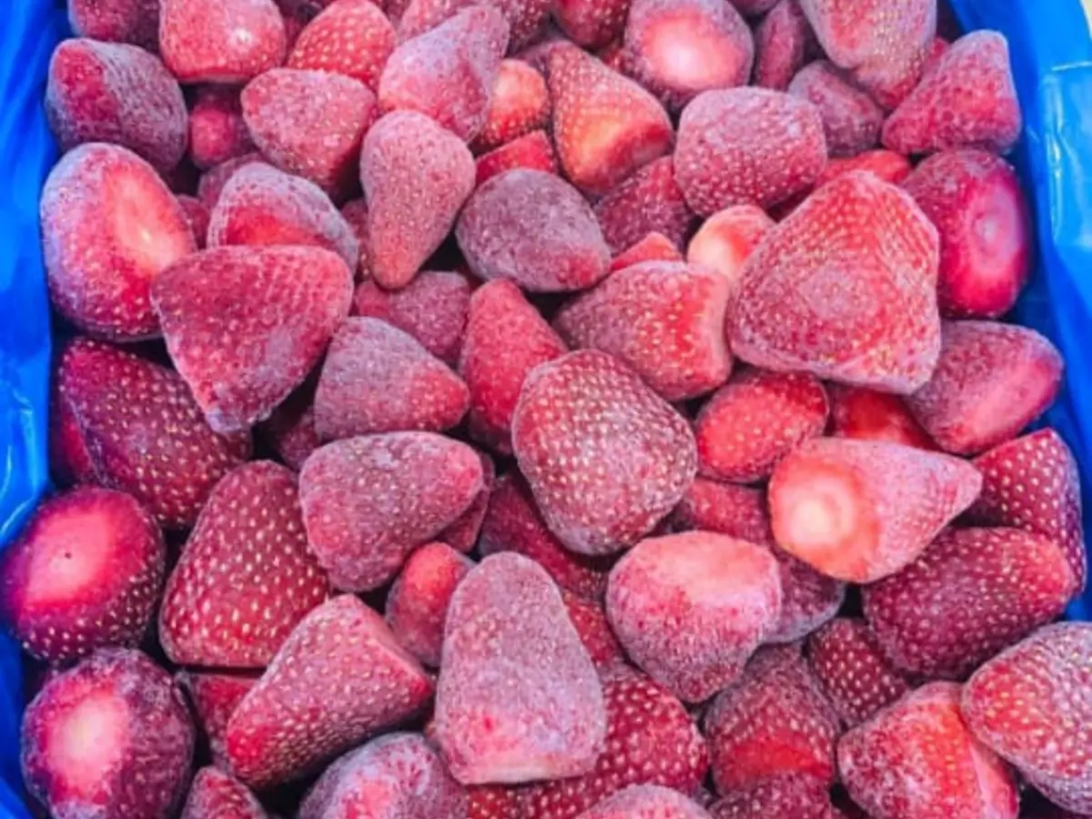 Frozen Products