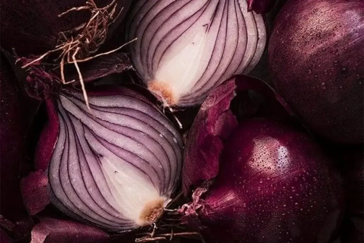Fresh red onions