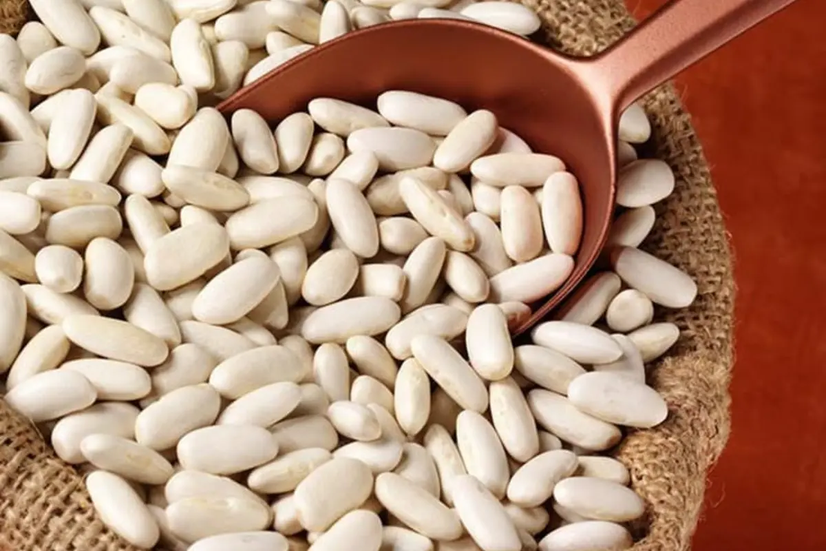 Dry white beans